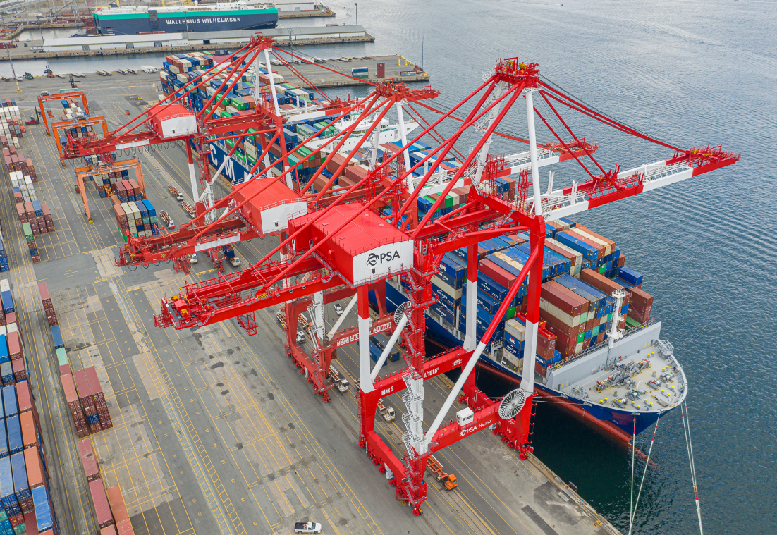 PSA Halifax Orders Eight New Electric Rubber Tyred Gantry Cranes From Konecranes